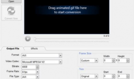 常用视频格式,掌握多媒体播放与传输的关键